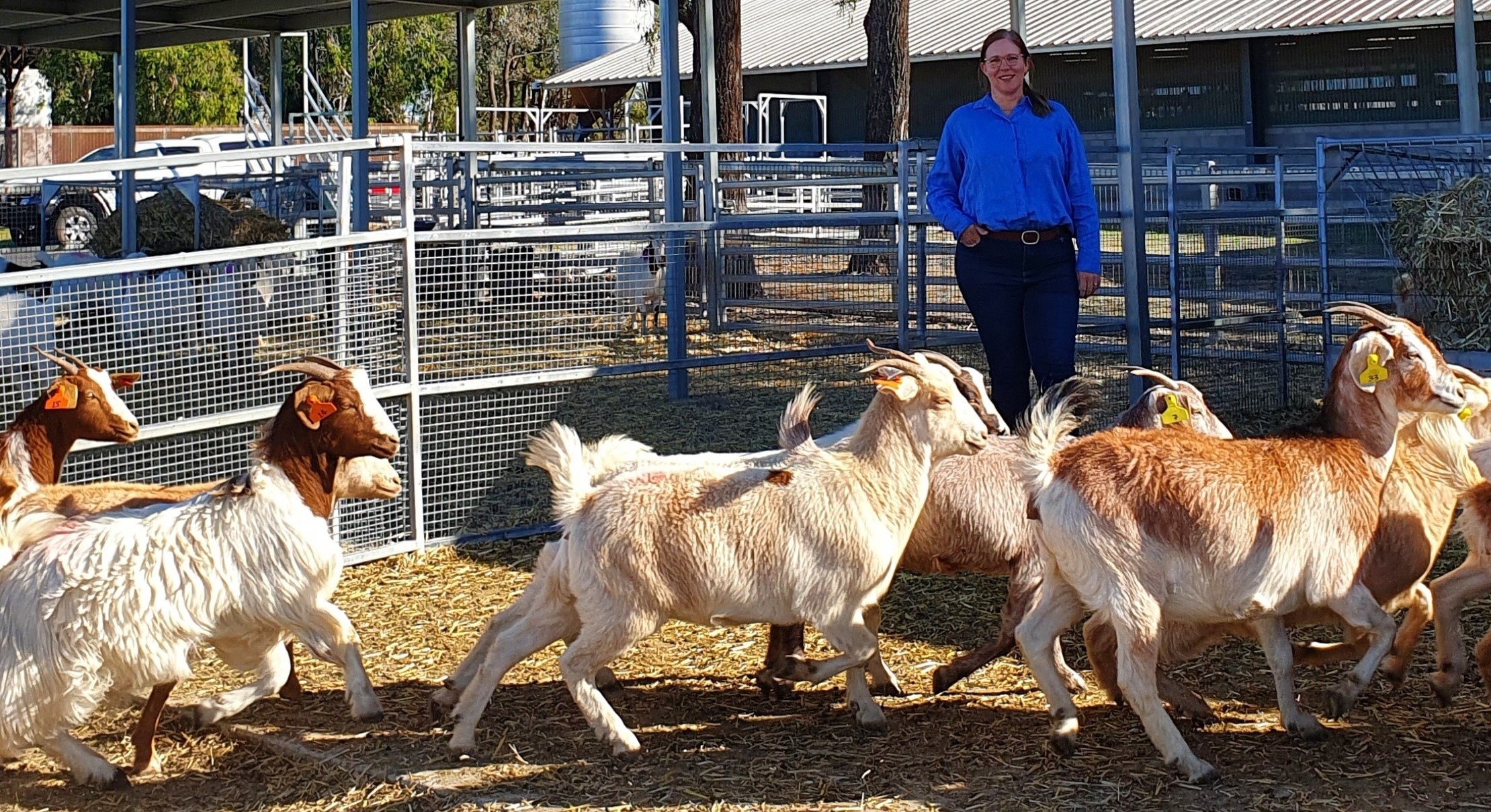 Anne in pen with goats