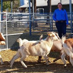 Anne in pen with goats